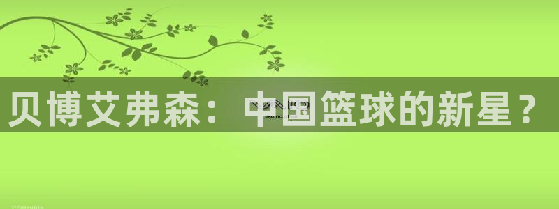 南宫摩登7：贝博艾弗森：中国篮球的新星？