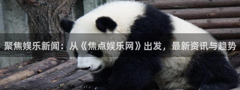 摩登7注册：聚焦娱乐新闻：从《焦点娱乐网》出发，最新资讯与趋势