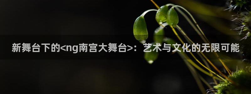 摩登7手机客户端下载安装：新舞台下的<ng南宫大舞台>：艺术与文化的无限可能