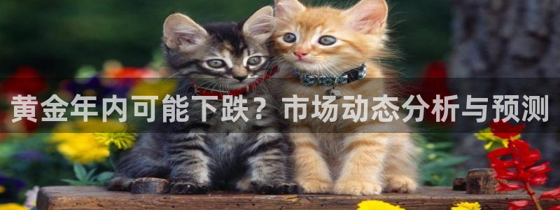 摩登7强制退款流程详解：黄金年内可能下跌？市场动态分析与预测
