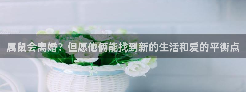 电子游戏摩登7：属鼠会离婚？但愿他俩能找到新的生活和爱的平衡点