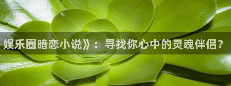 摩登7游app：娱乐圈暗恋小说》：寻找你心中的灵魂伴侣？