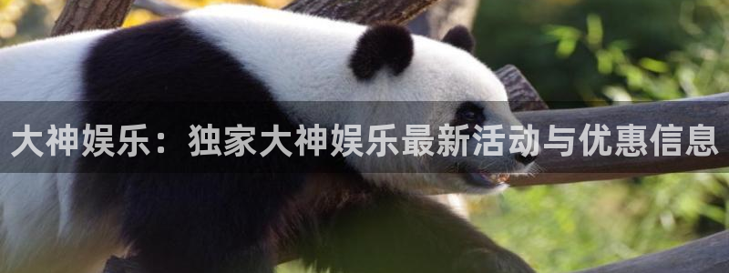 摩登7是什么平台：大神娱乐：独家大神娱乐最新活动与优惠信息