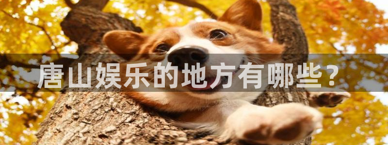 摩登7.ccm苹果版：唐山娱乐的地方有哪些？