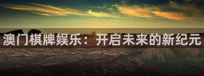 壹号注册入口app下载：澳门棋牌娱乐：开启未来的新纪元
