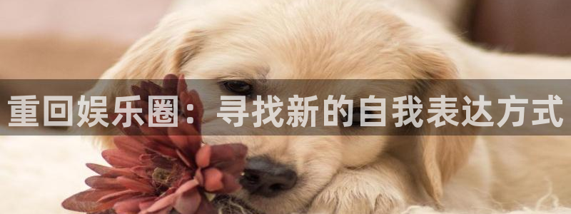 摩登7账号注册入口：重回娱乐圈：寻找新的自我表达方式