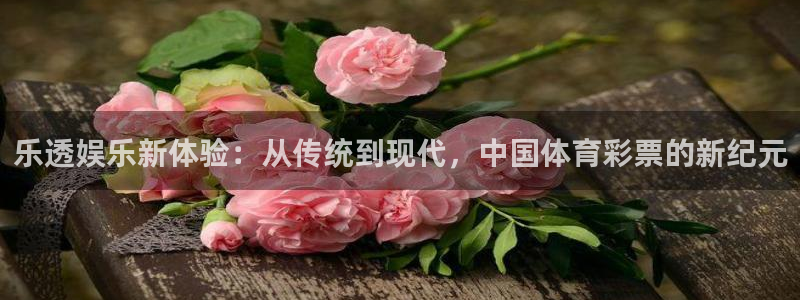 摩登7app官网下载苹果：乐透娱乐新体验：从传统到现代，中国体育彩票的新纪元