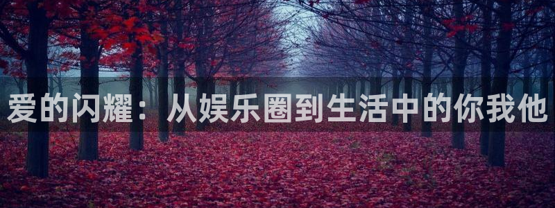 壹号电子娱乐app下载安装：爱的闪耀：从娱乐圈到生活中的你我他