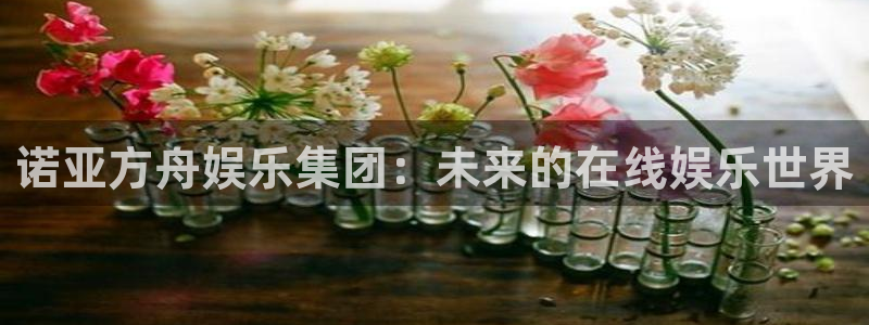 壹号电子娱乐app下载安装最新版本：诺亚方舟娱乐集团：未来的在线娱乐世界