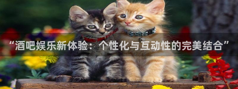 摩登7是正规平台吗：“酒吧娱乐新体验：个性化与互动性的完美结合”