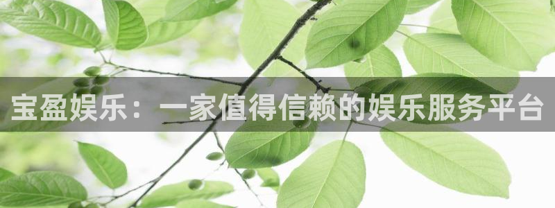 摩登7游戏官网平台：宝盈娱乐：一家值得信赖的娱乐服务平台