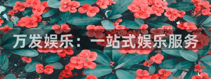 壹号大舞台官网：万发娱乐：一站式娱乐服务