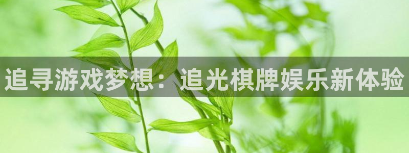 摩登7在线预测：追寻游戏梦想：追光棋牌娱乐新体验