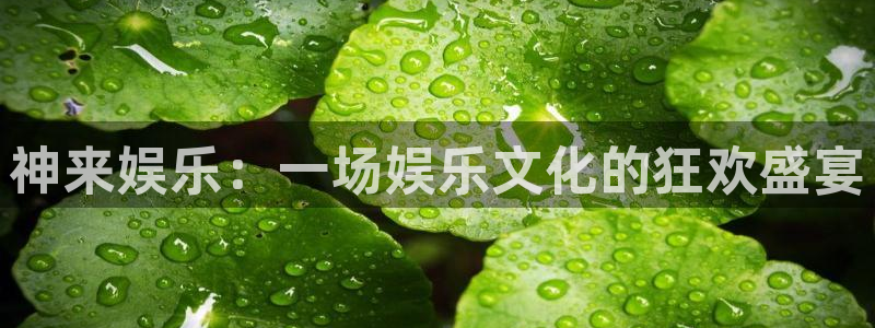 摩登7平台官网入口下载：神来娱乐：一场娱乐文化的狂欢盛宴